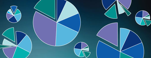 Lots of pie charts